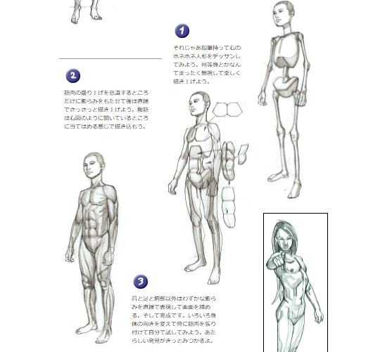 イラスト 人を描くには人体構造を学ぶのがおすすめ 人の描き方３ステップも紹介 Yukafuri